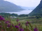click me to see more about highlands of scotland 